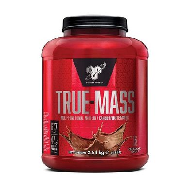 BSN True-Mass 2,6kg no-limit-fitness-and-fight-shop.myshopify.com